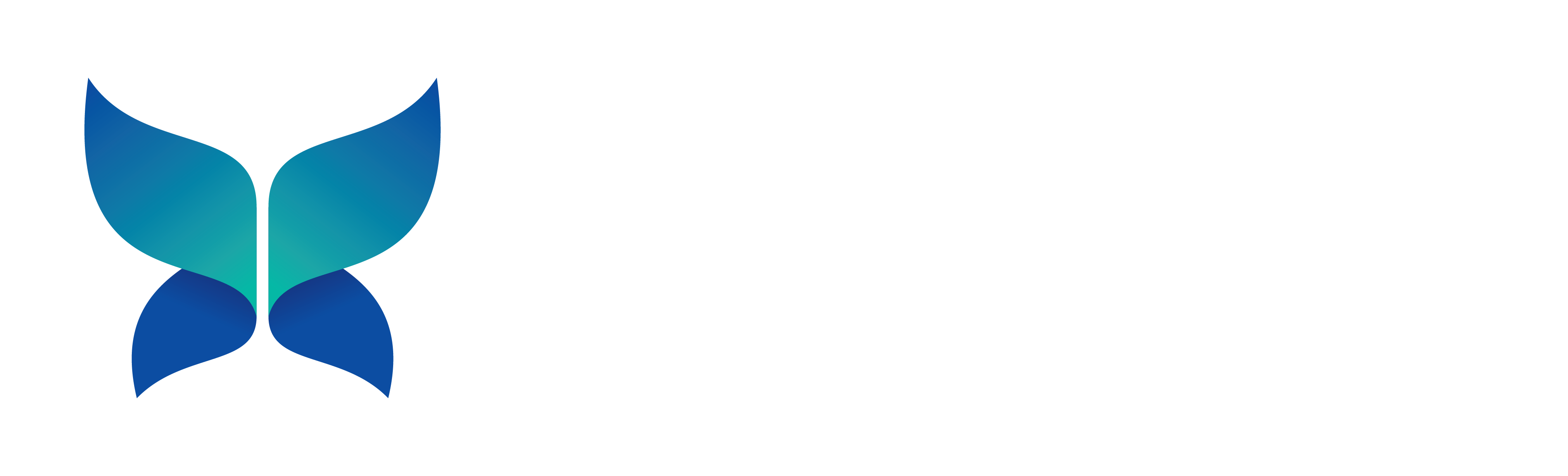 BusinessOptix